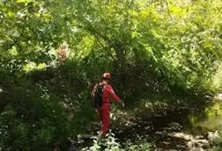 Ağrı'da dört koldan seferberlik: 14 yaşındaki Yunus Kerici nerede?