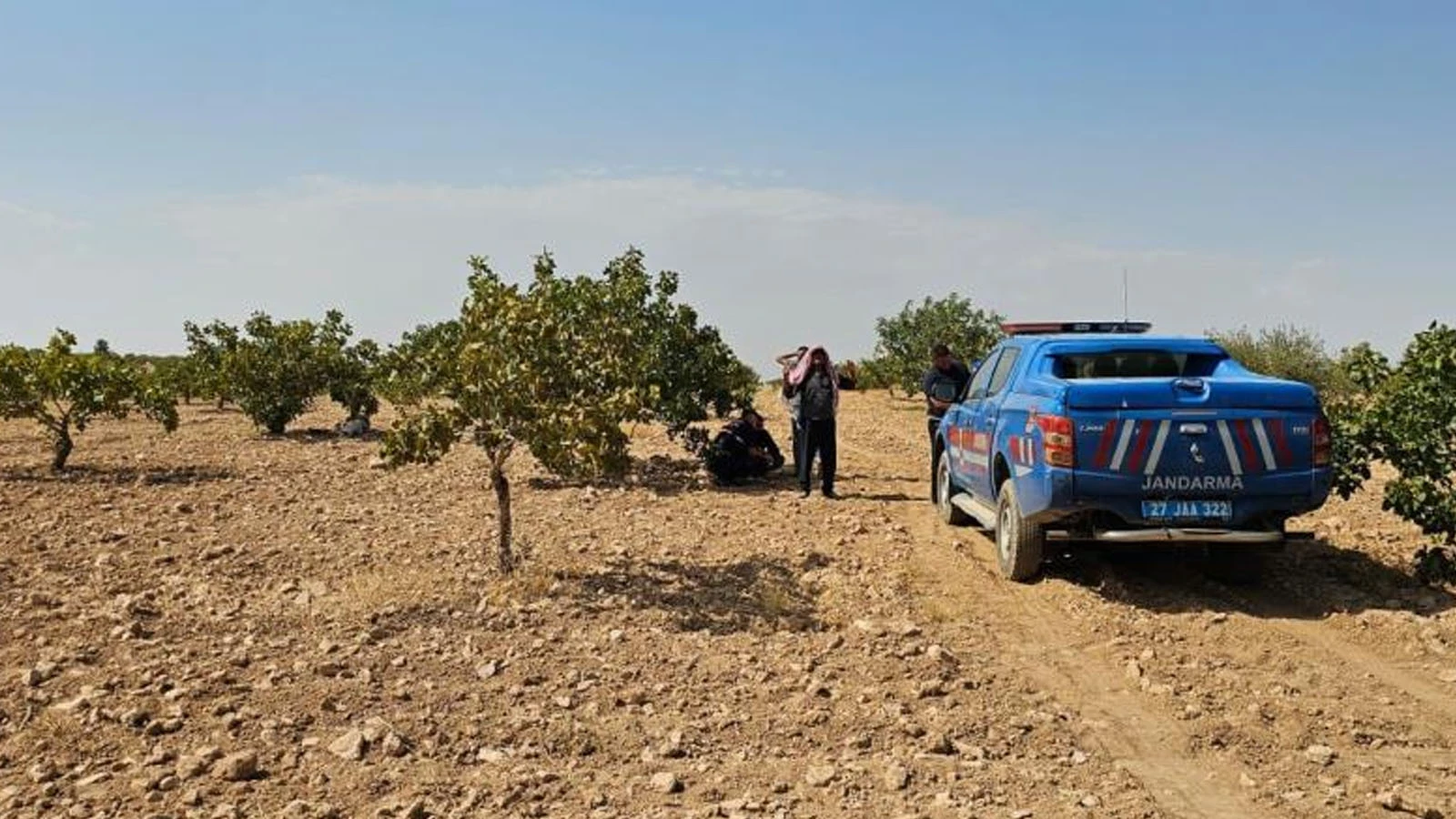 Antep fıstığı hasadı yaparken kalp krizi geçirip öldü