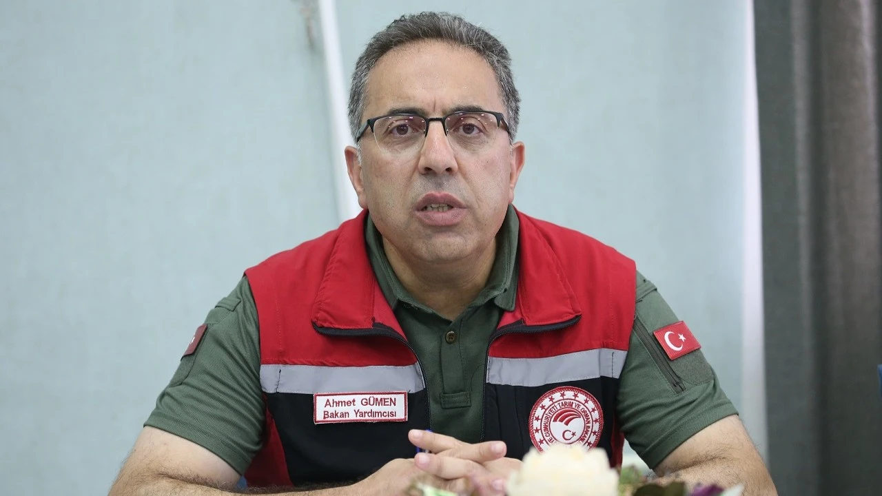 Kars'ta şap hastalığı vakaları: 'Aşılama oranları yükseltilmeli'