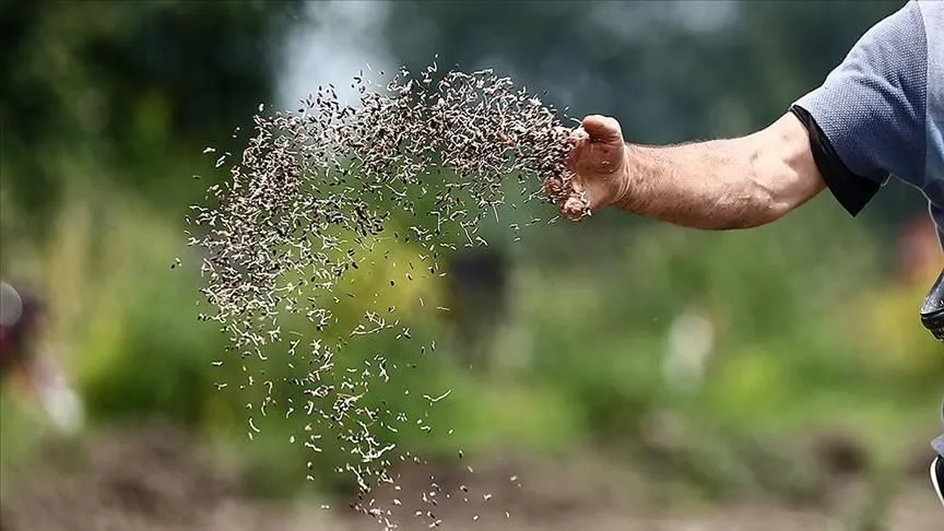 Türk tohumculuk sektörünün hedefi dünyada ilk 5'e girmek