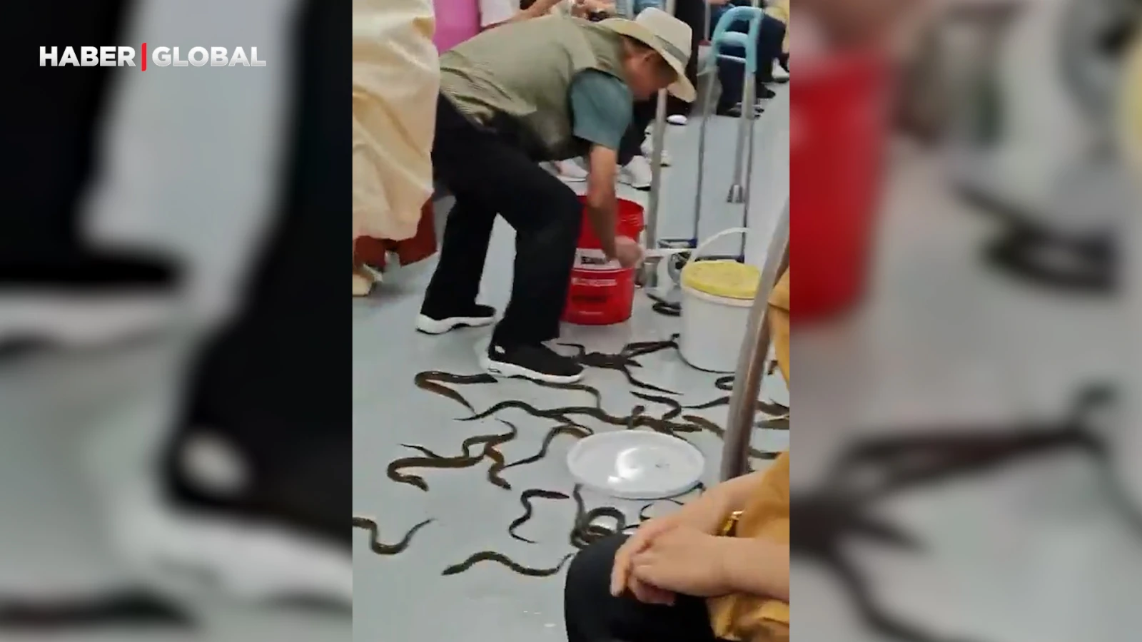 Metroda elindeki kova devrildi, yılan balıkları bir anda yolcuların arasına karıştı