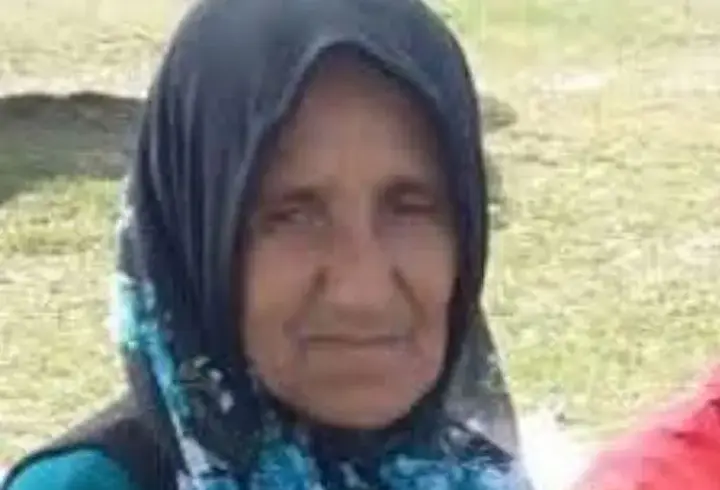 Ordu'da, hafriyat kamyonunun çarptığı yaya öldü