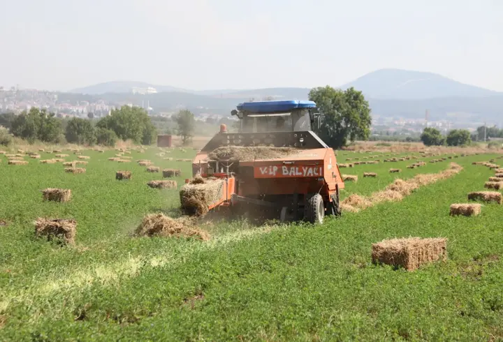 Muğla'da üreticilere ücretsiz yem bitkisi tohumu desteği