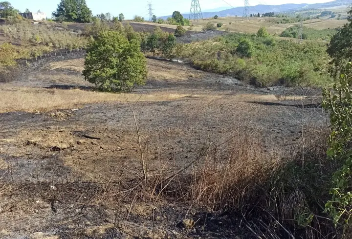 Kocaeli'de otluk alanda çıkıp fındık bahçesine sıçrayan yangın söndürüldü