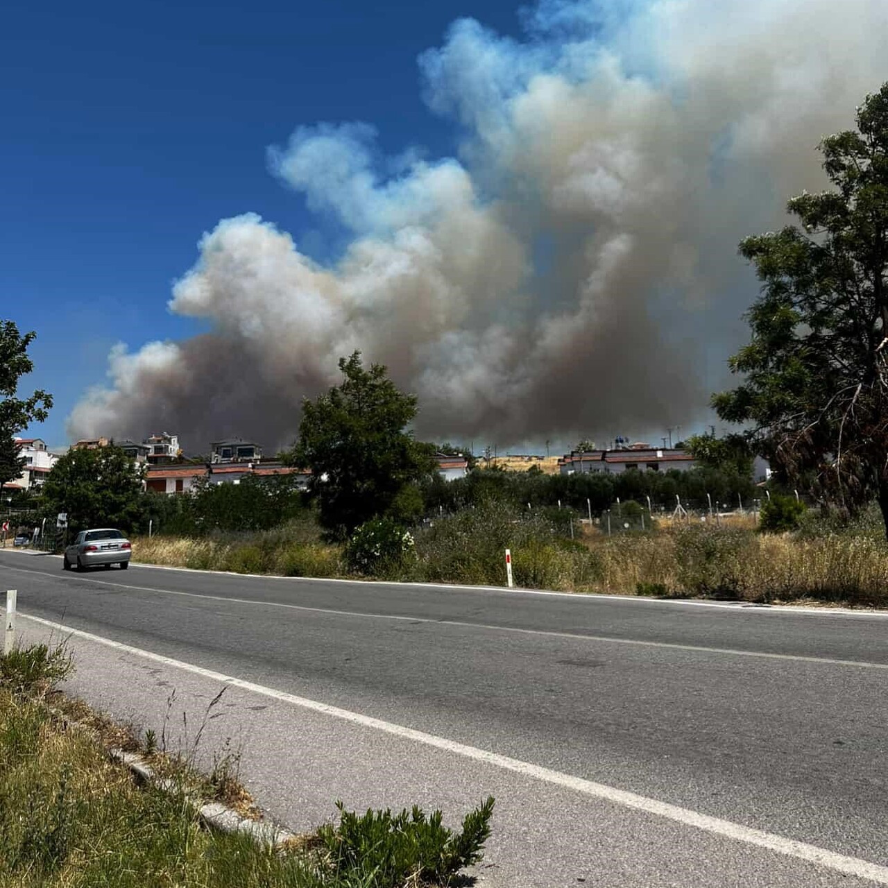 Çeşme'de yangın! Alevler İzmir-Çeşme otoyoluna yaklaştı