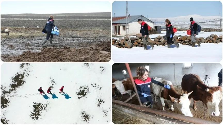 Veteriner hekimler hayvan sağlığı için her koşulda sahada