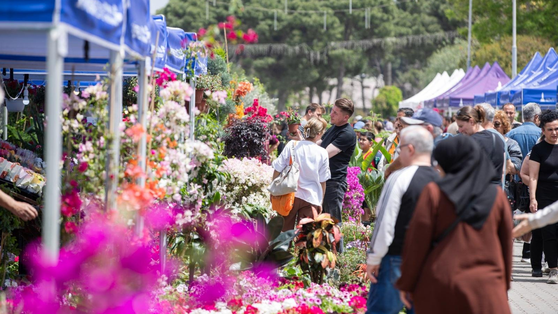 İzmir'in Çiçek Ve Bal Festivalinde Geri Sayım - Güncel Haberler - Habertürk