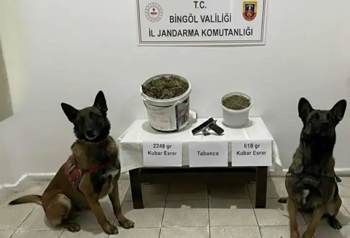 Bingöl’de uyuşturucu operasyonunda 3 gözaltı