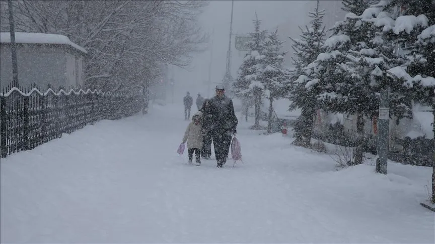 Kars, Ardahan, Tunceli ve Erzurum'da kar etkili oluyor