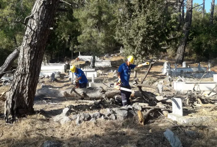 Muğla'da temizlenen mezarlıklardan elde edilen odunlar ihtiyaç sahiplerine dağıtılıyor