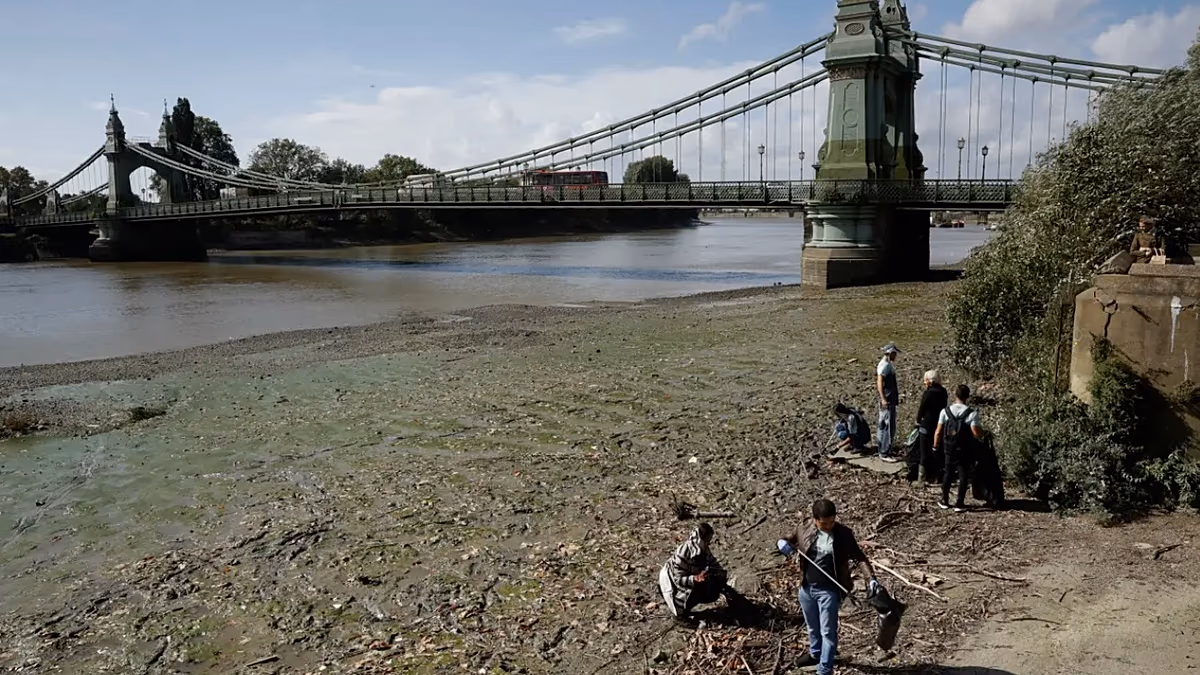 Ünlü Thames Nehri'nden 180 Ton Islak Mendil Çıkarıldı: Kirlilik Azaldı Mı?