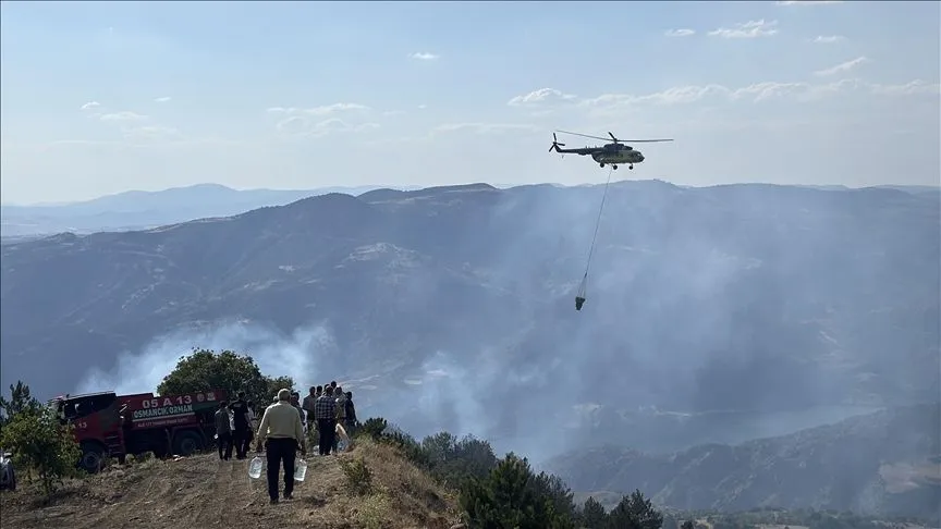 Çorum, Malatya ve Gümüşhane'de çıkan orman yangınlarına müdahale ediliyor