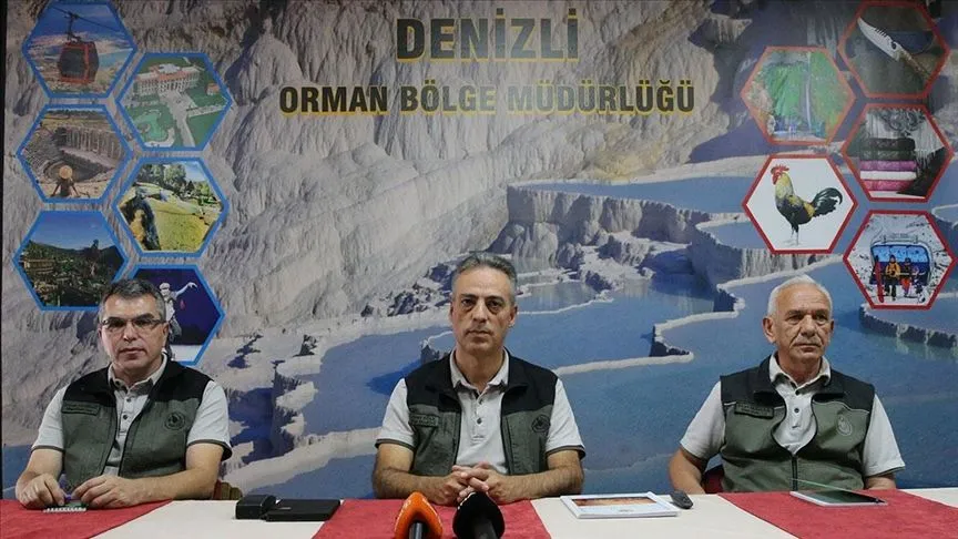 Denizli'de yangınlarda zarar gören alanlar 2 milyon 556 bin fidanla yeşillendirilecek