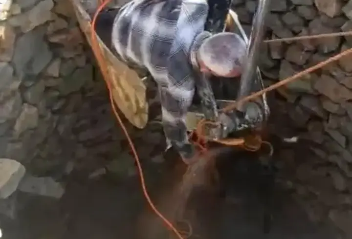 Batman’da kuyuya düşen inek, iş makinasıyla kurtarıldı