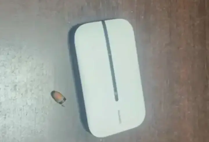 Ehliyet sınavına kopya düzeneğiyle girmeye çalışan 2 kişi yakalandı