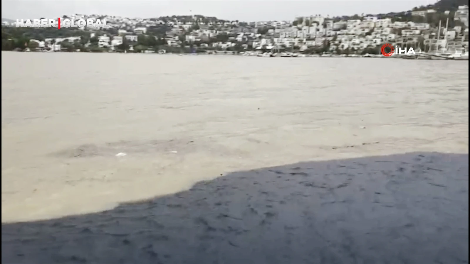 Bodrum'da denizin renginin ikiye ayrıldığını görenler şoke oldu