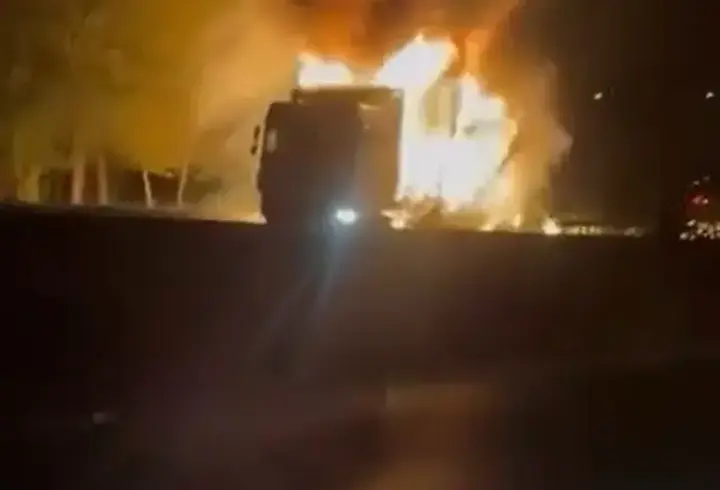 Samsun’da seyir halindeki TIR’da çıkan yangında alevler ağaçlara sıçradı