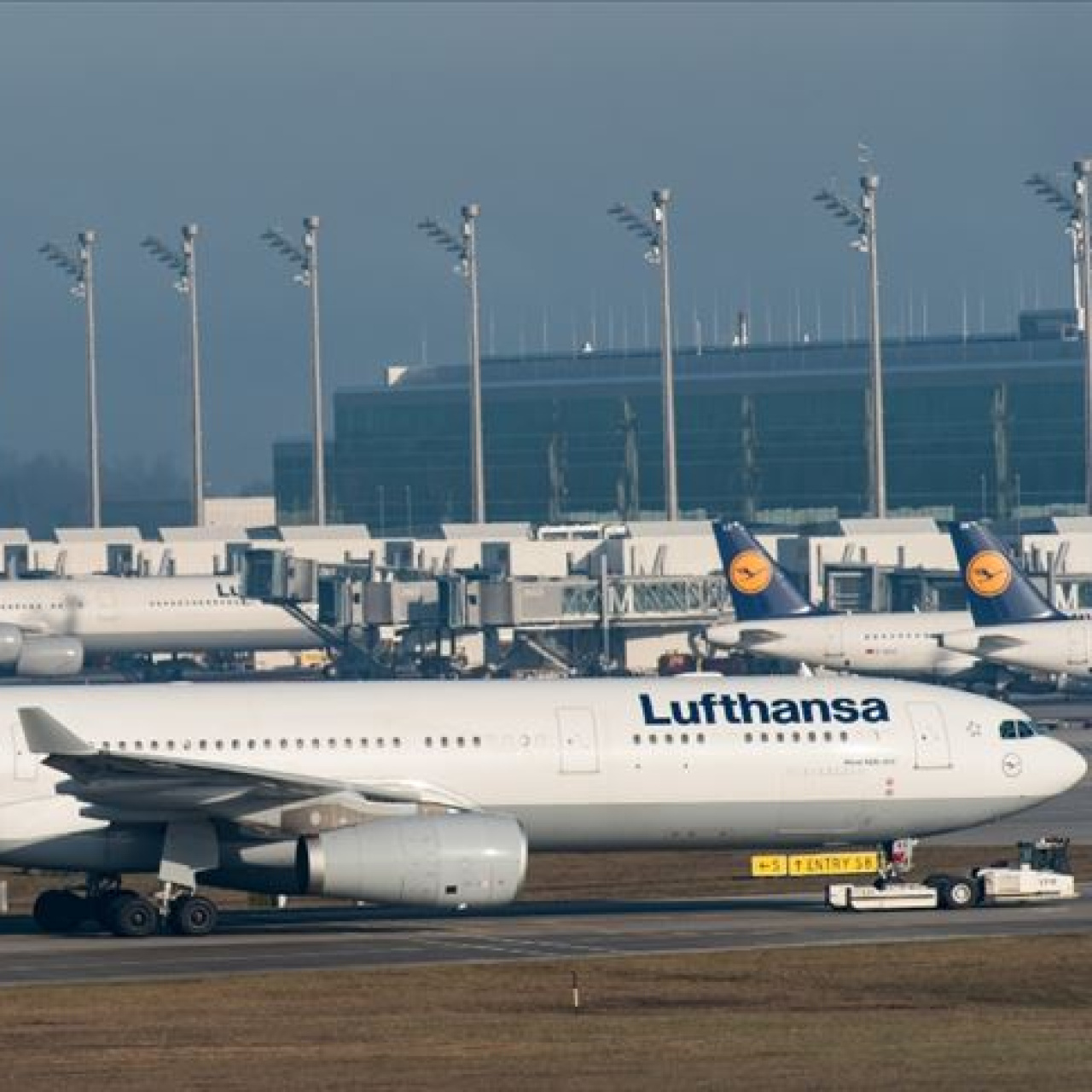 Jet yakıtı krizi: Lufthansa 20 bin uçuşu iptal edecek