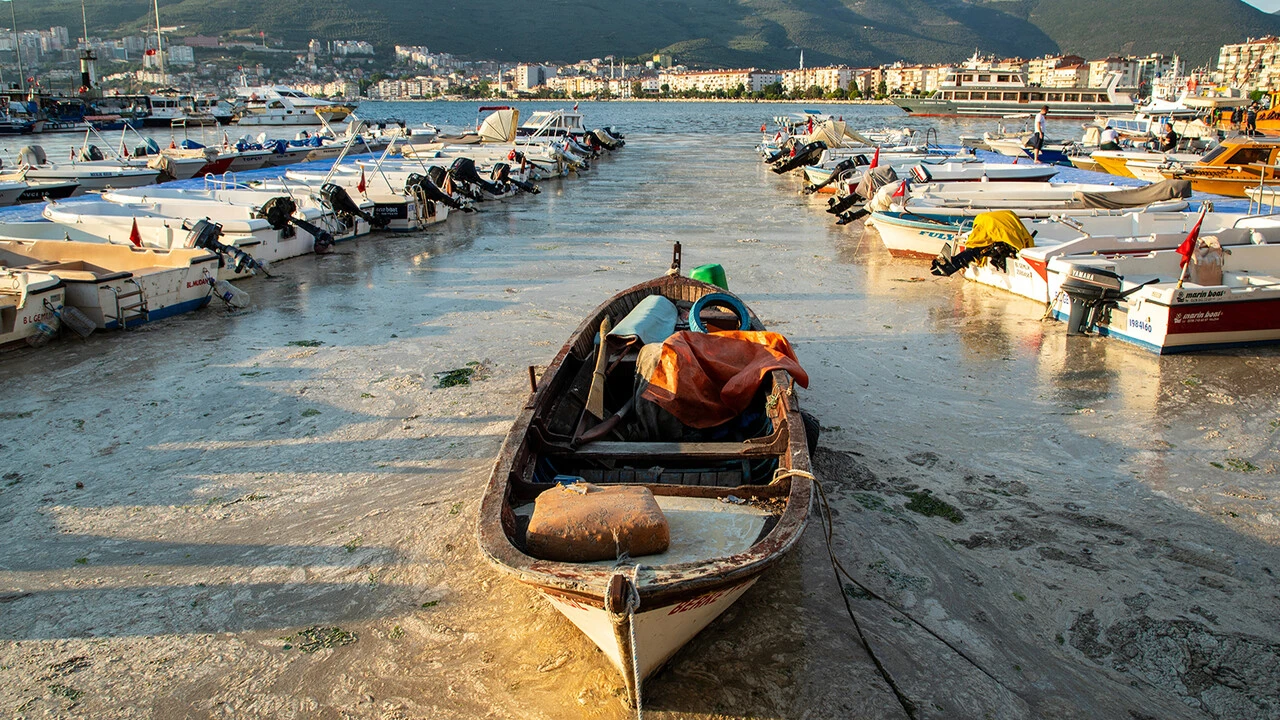 İşte en kapsamlı rapor! Marmara nasıl kurtarılacak?