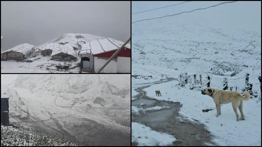 Rize, Artvin ve Ardahan'da yüksek kesimlere kar yağdı