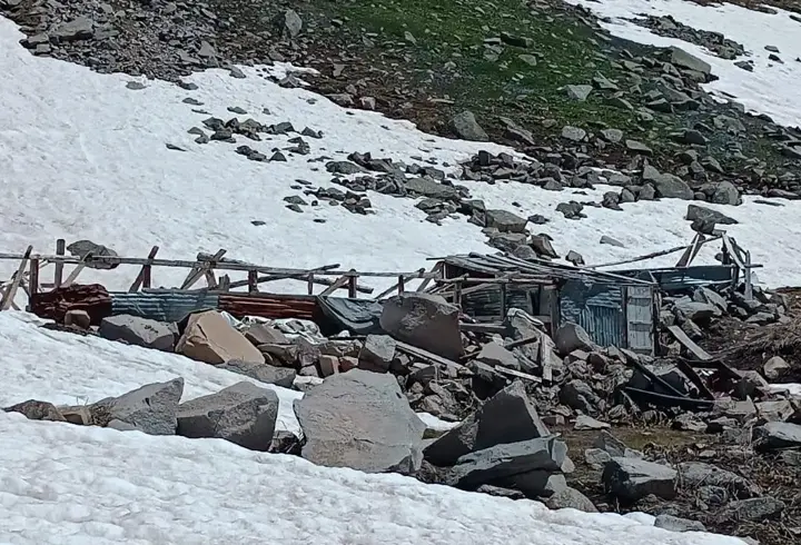 Verçenik Yaylası'nda çığ ve ayı tahribatı