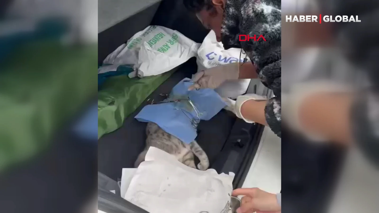 Depreme ameliyatta yakalanan veteriner kediyi de alıp otomobilde operasyona devam etti
