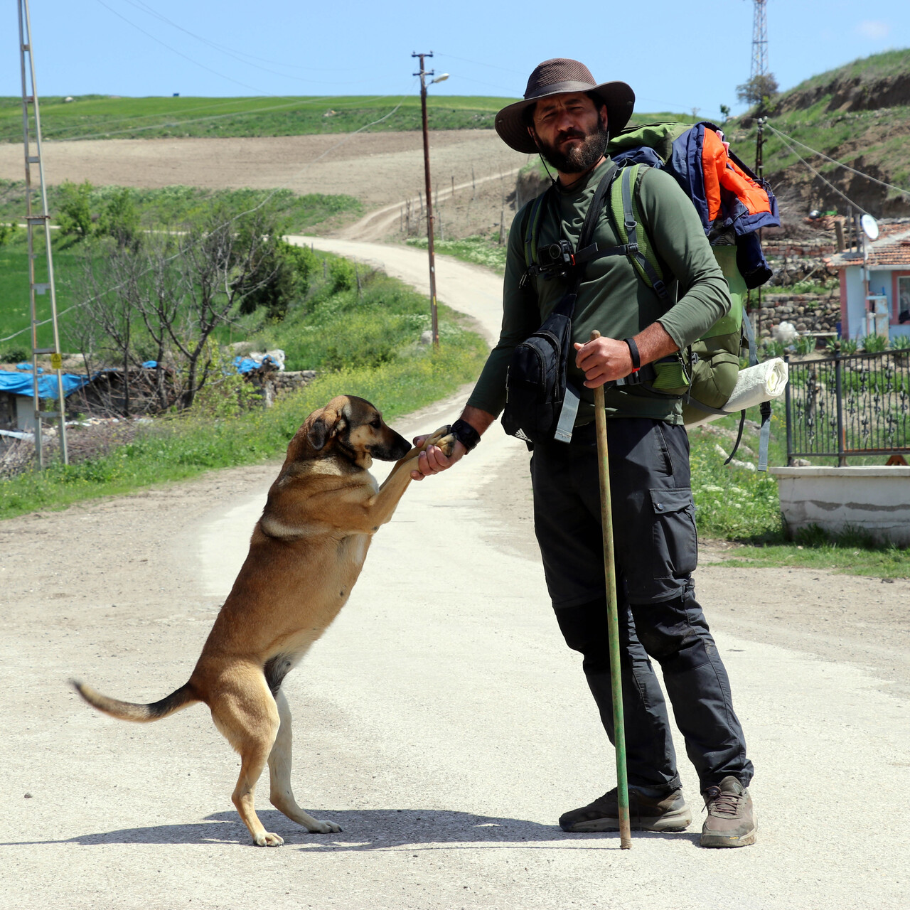 Köpeği Yoldaş ile şehir şehir gezerek fidan dikiyor