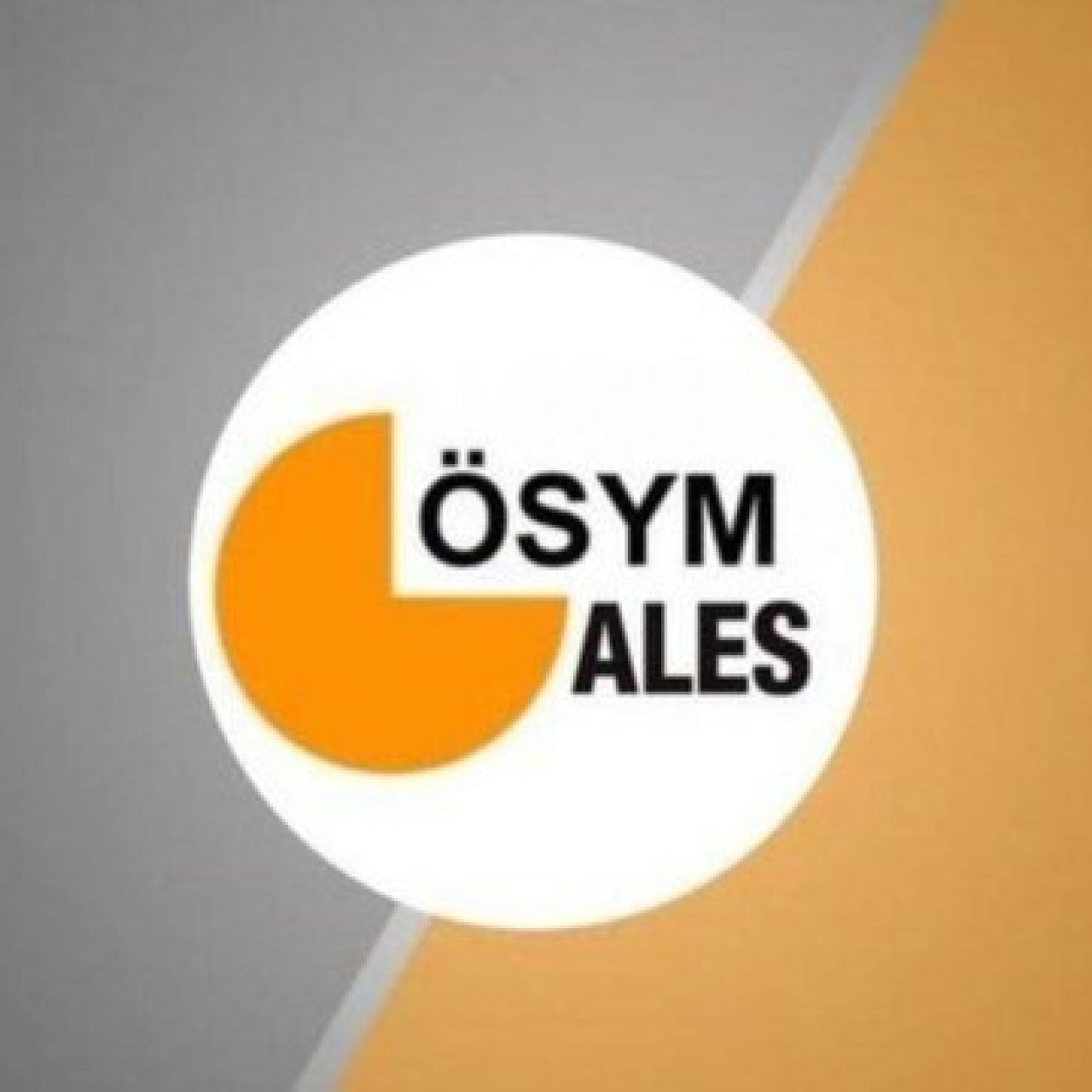 ALES/3 sonuçları ne zaman açıklanacak?