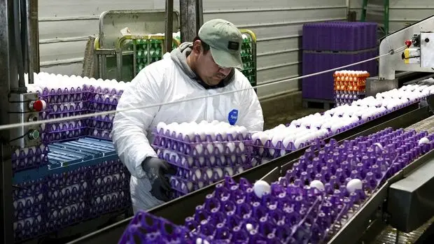 Brezilyalı yumurta kralı ABD'li şirketi 1.1 milyar dolara satın alıyor