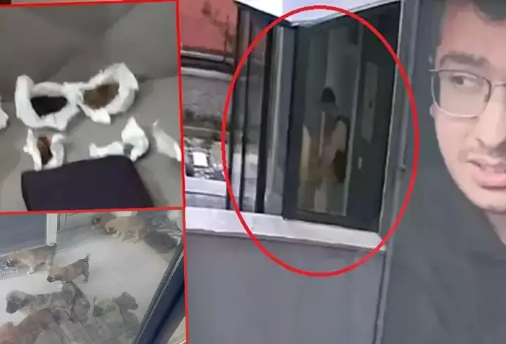 Köpekleri parçalayan doktorun evinden çıkanlar şoke etti!