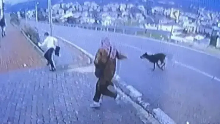 Bursa'da korku dolu anlar! Köpekten kaçmaya çalışan çocuk bacağını kırdı