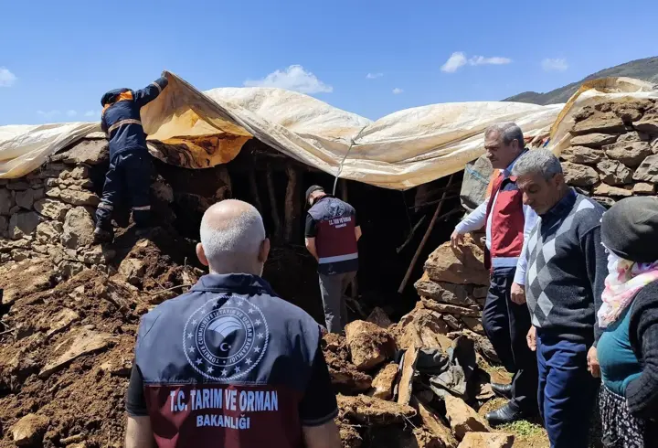 Bingöl'de ahırın tavanı çöktü; 1 inek öldü, 10'u kurtarıldı