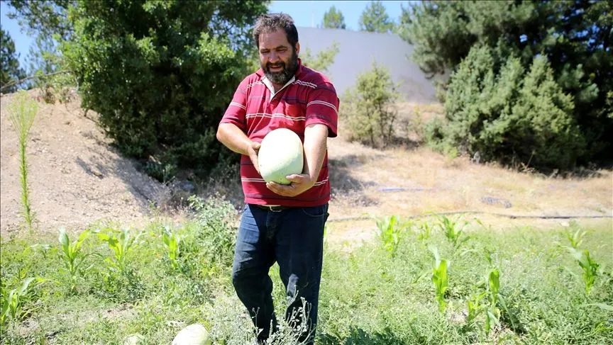 Yakınlarını kanserden kaybedince organik tarıma yönelerek üretici oldu