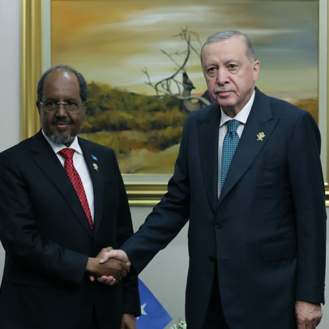 Somali Cumhurbaşkanı Türkiye'ye geliyor
