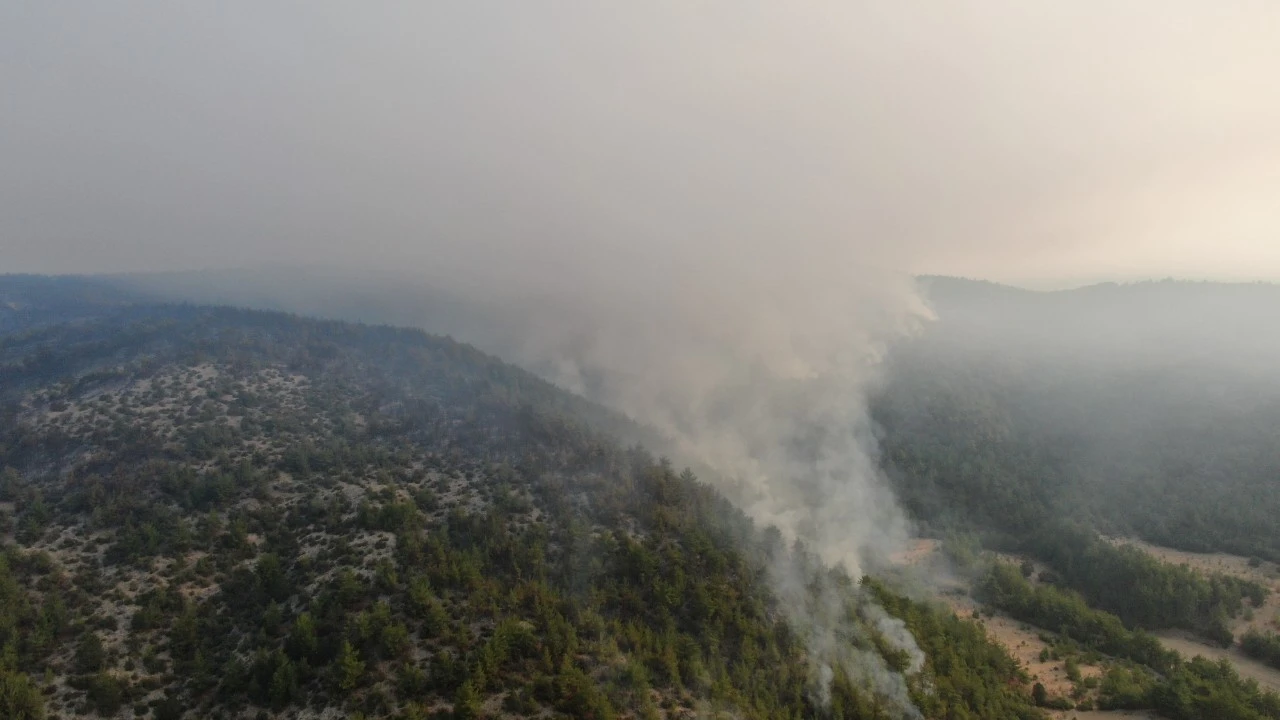Karabük ve Kastamonu'daki yangınlarda son durum: Müdahaleler sürüyor