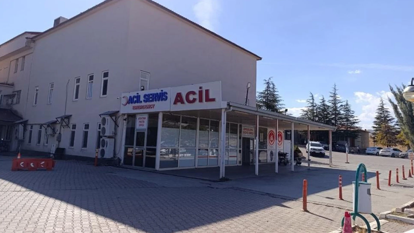 Kahramanmaraş'ta arının soktuğu çocuk yaşamını yitirdi