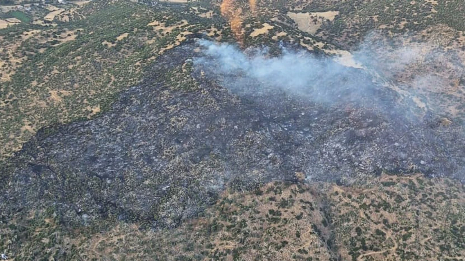 Nazilli’de makilik ve zirai alan yangını kontrol altına alındı