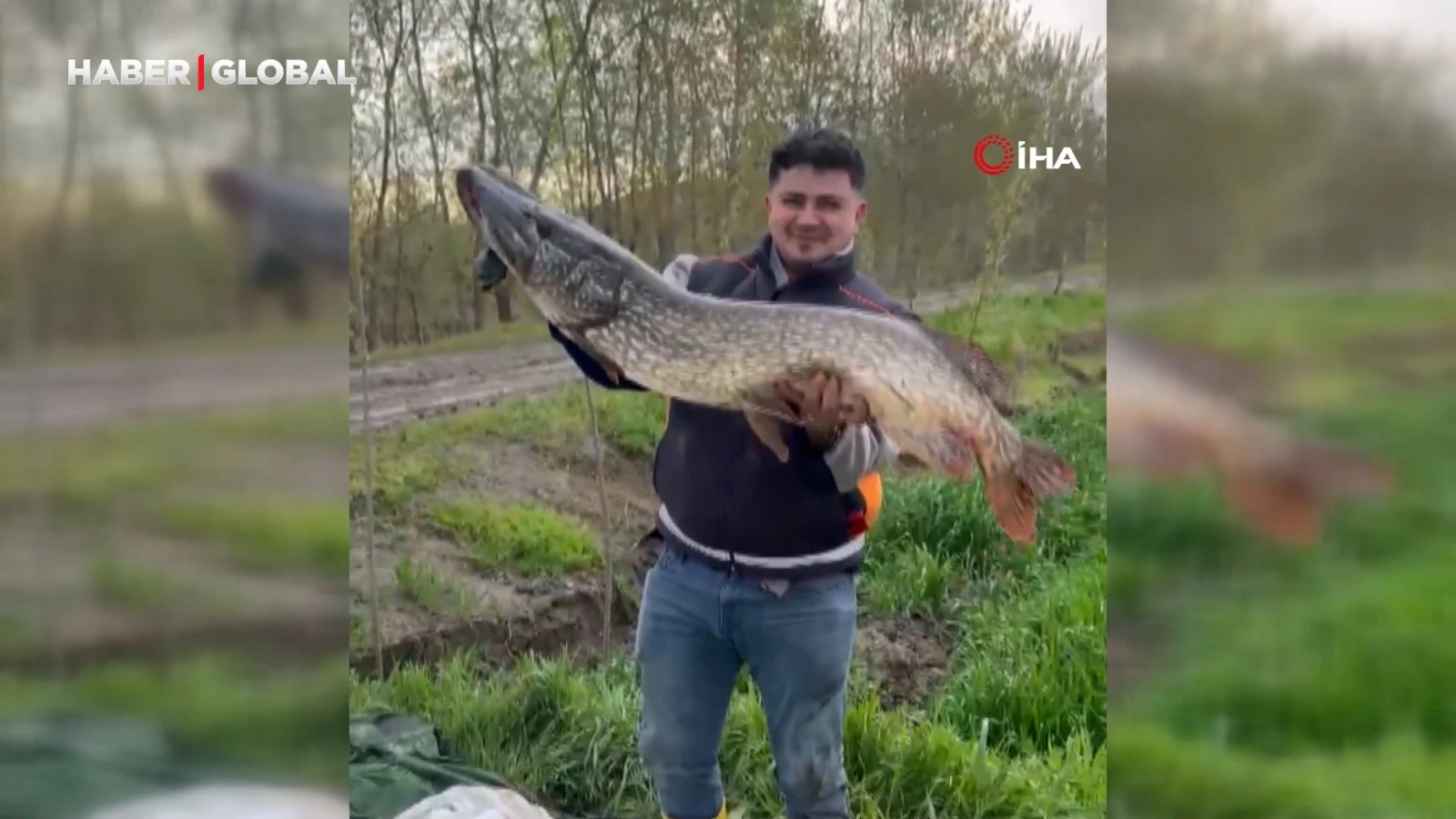 Tuttuğu 14 kiloluk turnayı bebek gibi kucağında salladı