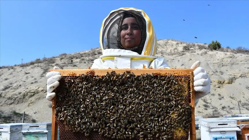 Bilecikli kadın arıcı 3 ilde 4 çeşit bal üretiyor