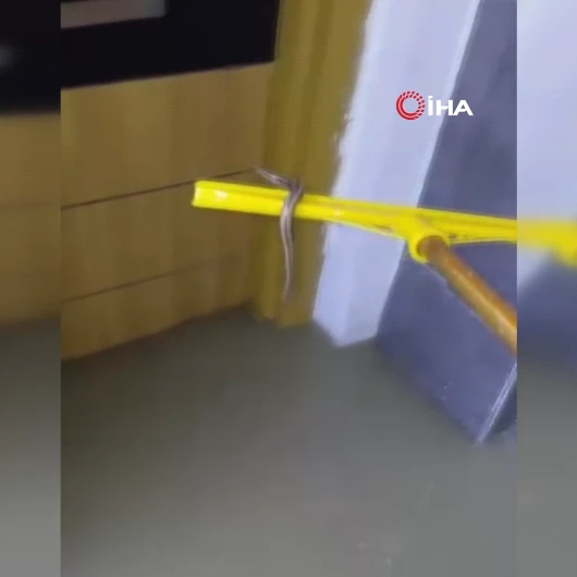 Boğazköy Mahallesi'nde Su Tahliyesi Sırasında Görülen Yılan Panik Yarattı