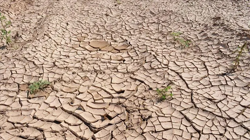 Kuraklık 2050 yılına kadar 1 milyar kişiyi göç ettirebilir