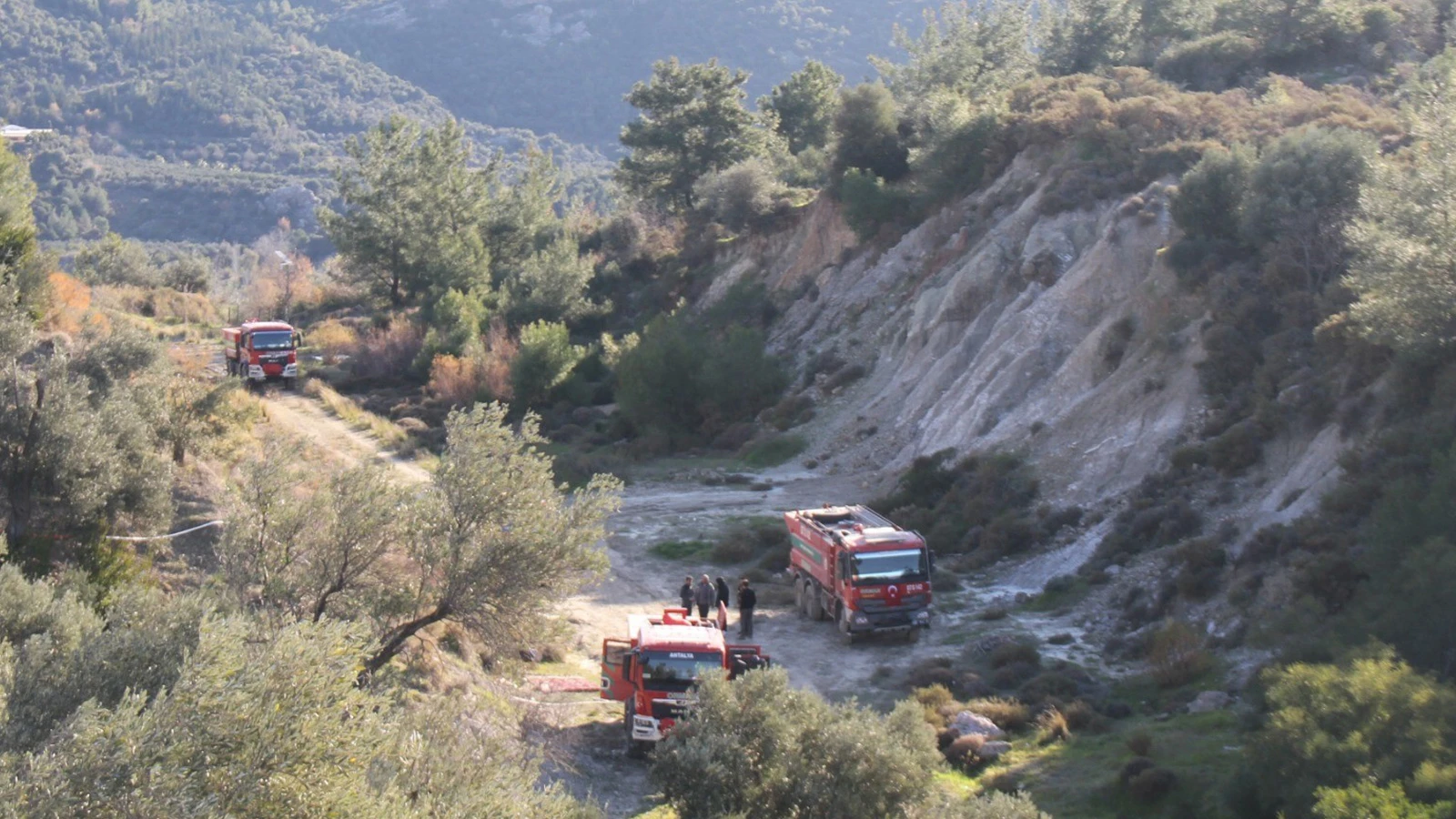 Antalya'da orman yangını! Zararın boyutu gündüz ortaya çıktı