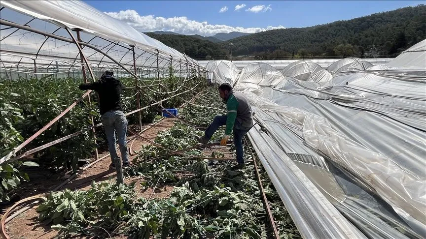 Antalya'da etkili olan hortum bazı seralara zarar verdi
