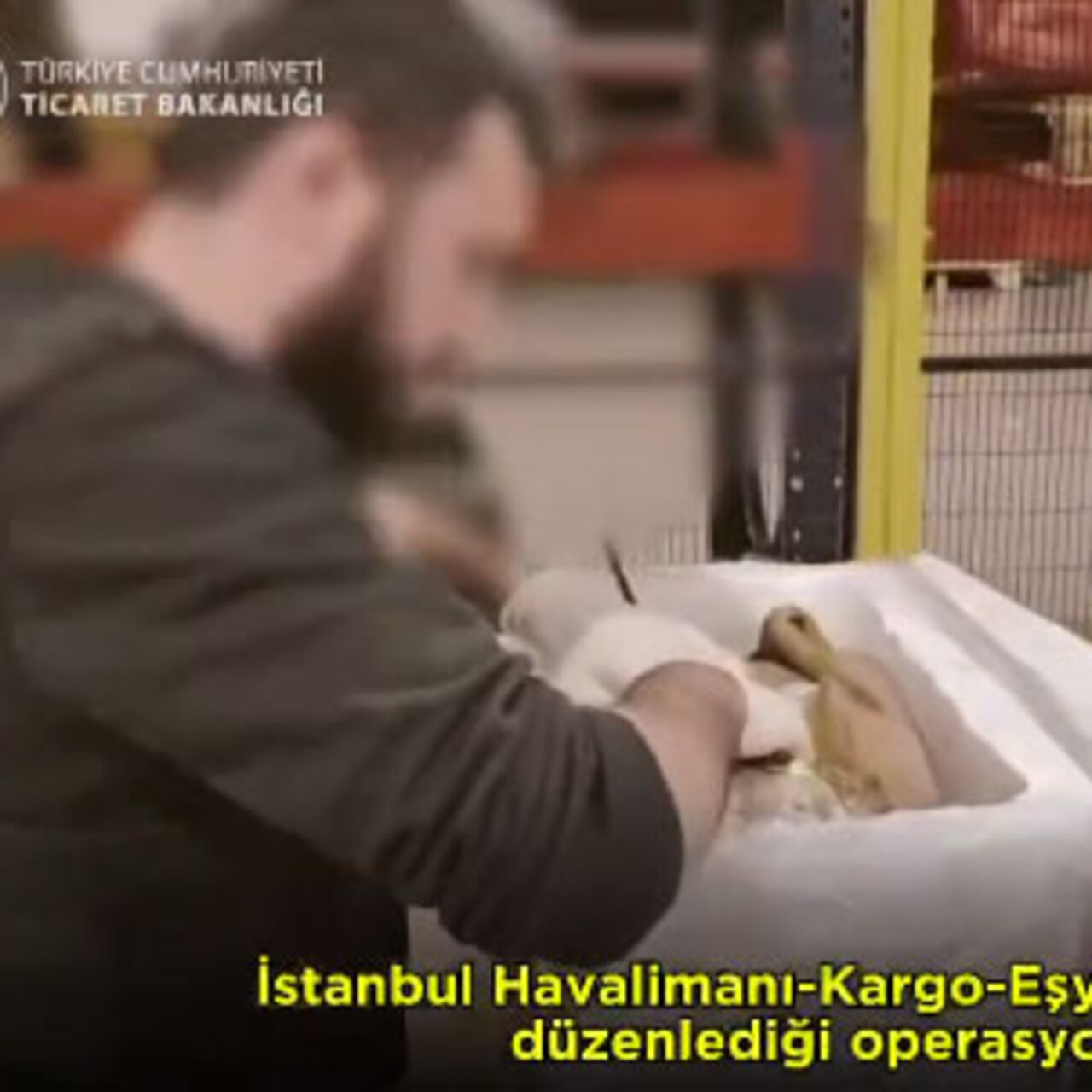İstanbul Havalimanı'nda dev operasyon: 455 kg kokain ele geçirildi!