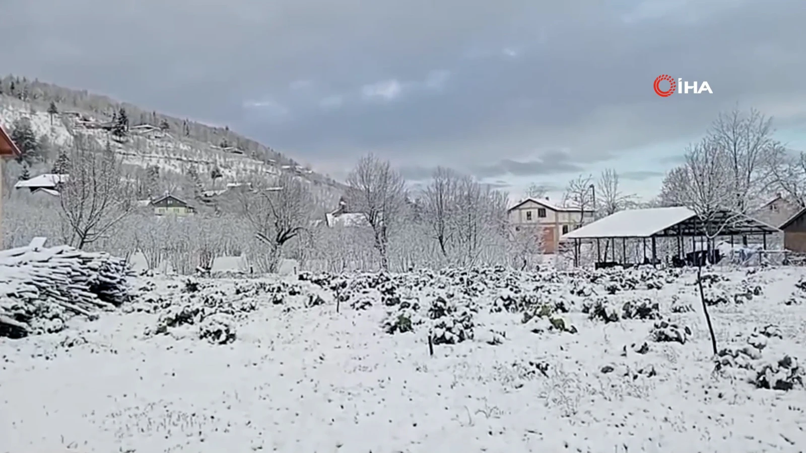 Sakarya nisan ayında beyaza büründü