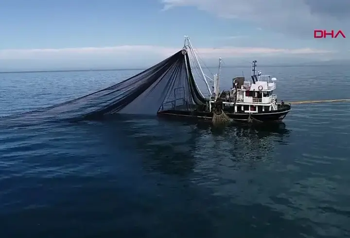 Özel'in "füze kaçırıyor" dediği Sinop'ta balık rekoru