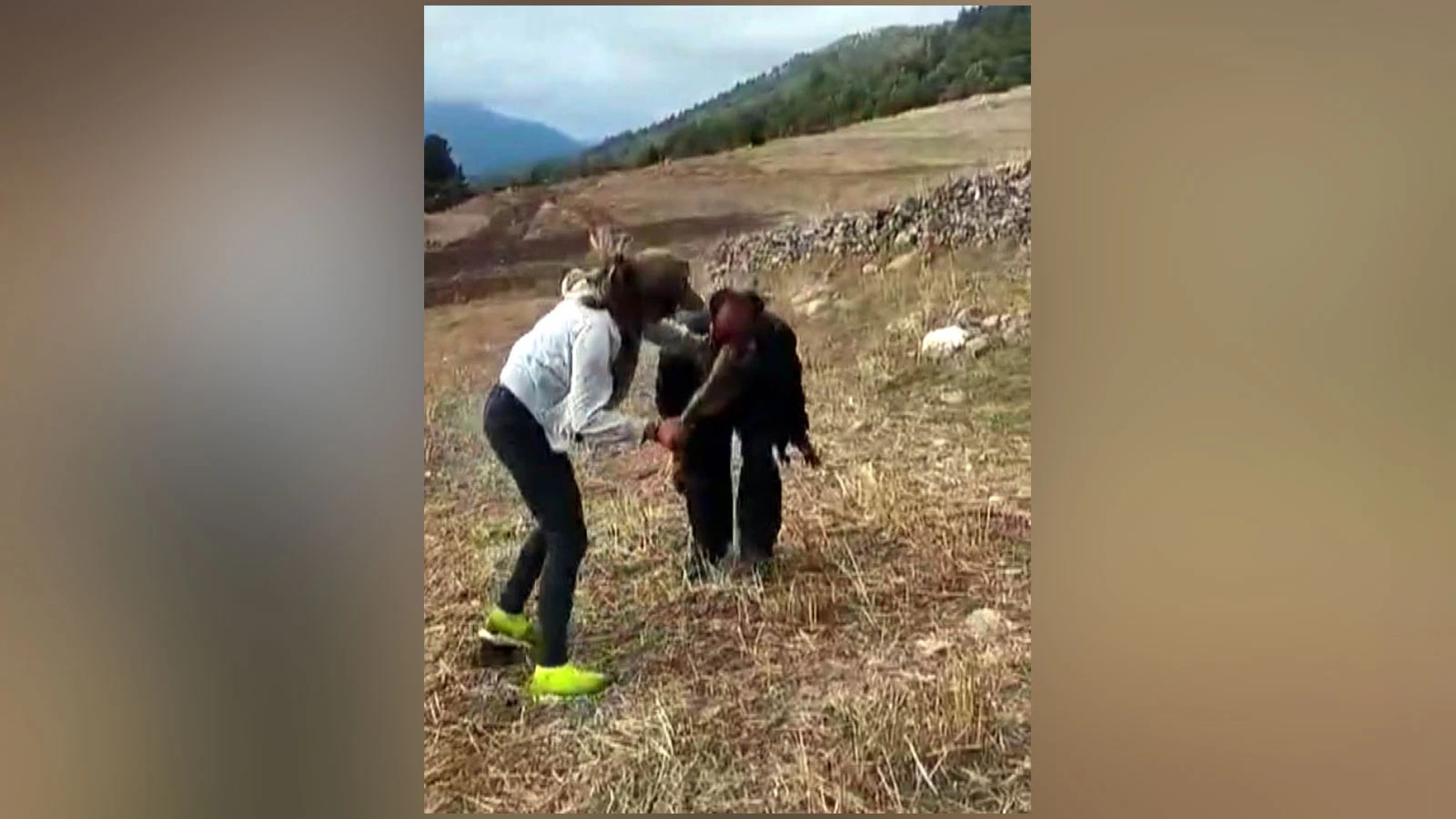 Kahramanmaraş'ta bir çobanı sopayla döven kız kardeşlere tahliye