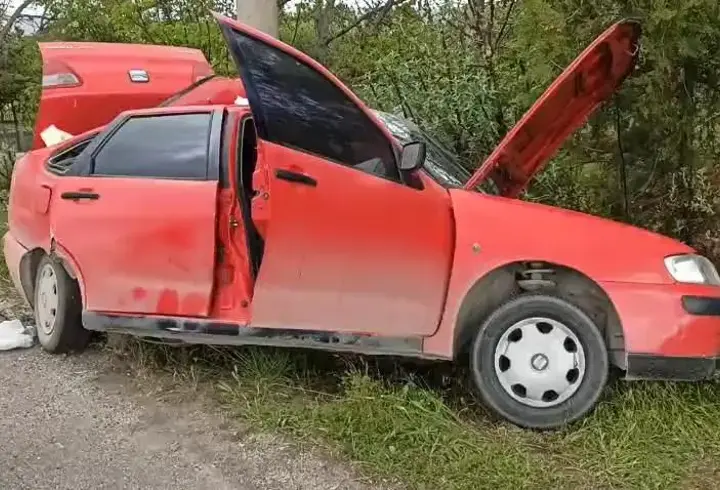 Elazığ’da otomobil aydınlatma direğine çarptı: 2 yaralı