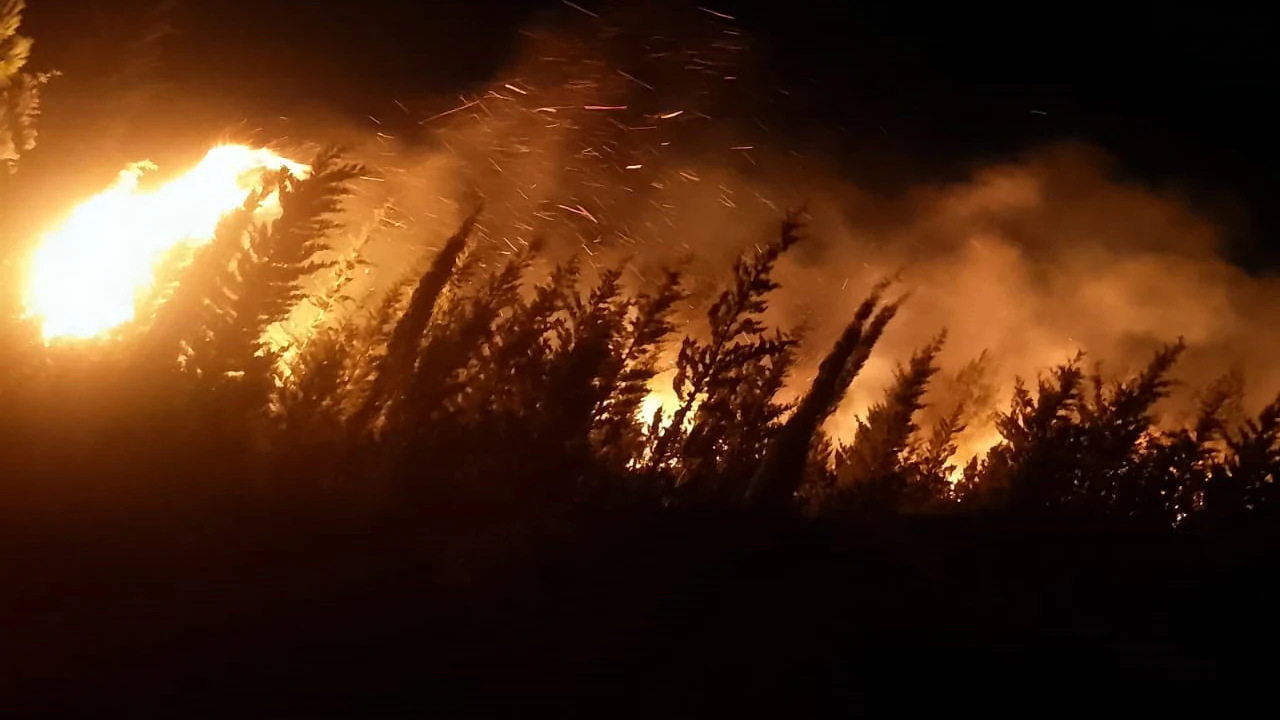 Son Dakika: İzmir'de yangın! Karadan ve havadan müdahale sürüyor