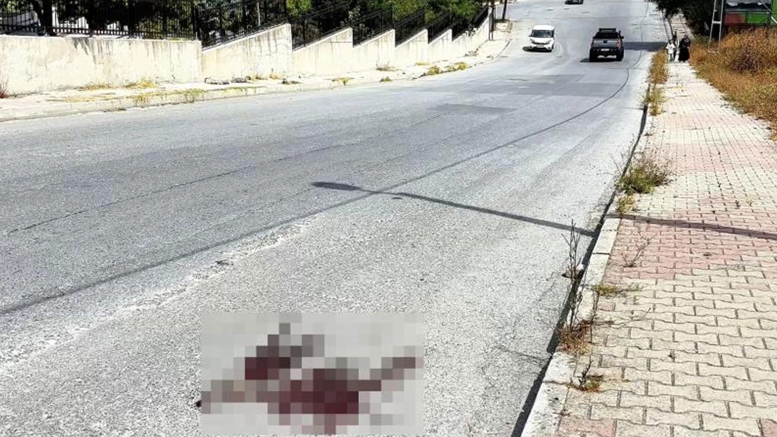 Mezarlık önünde kardeş kavgası cinayetle bitti: 1 ölü
